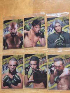 RIZIN トレーディングカード 6枚セット - メルカリ