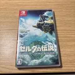 젤다의 전설 티어즈 오브 더 킹덤 Switch