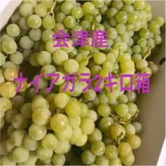 ナイアガラ2キロ箱 ぶどうのサムネイル