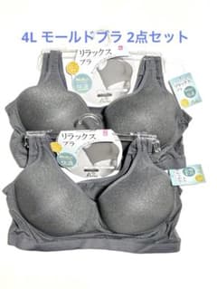 4L 大寸 モールドカップ ブラ2点セット