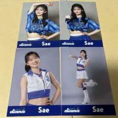 横浜DeNAベイスターズ diana ブラインドフォト sae - メルカリ