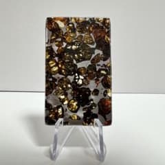 希少】ロシア産 セイムチャン パラサイト隕石 コレクション整理 標本