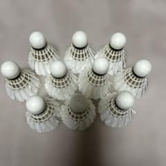 バドミントン中古シャトル10球 - メルカリ