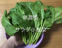 無農薬　サラダ小松菜　175gのサムネイル