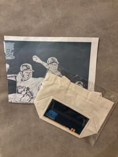 青春ジャイアンツ　トートバッグ-新聞紙付(非売品)のサムネイル