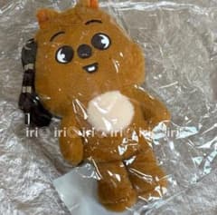 Hank Okka cross bag, RUN IT Seoul concert, Stray Kids