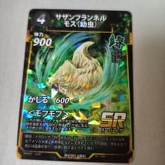 サザンフランネルモス(幼虫)