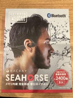 HACRAY SEAHORSE 骨伝導イヤホン HRBC01のサムネイル