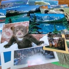 カナダ 風景 ポストカード 19枚セット