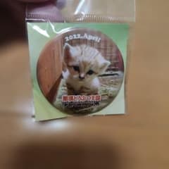 那須どうぶつ王国 缶バッジ 2022年4月 スナネコのサムネイル