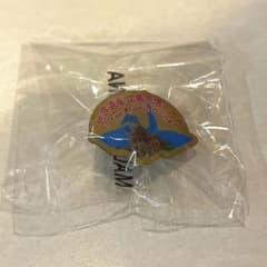 原爆ドーム　ピンズ　ピンバッジのサムネイル
