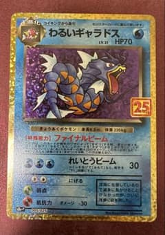 わるいギャラドス プロモカードパック 25th ANNIVERSARY極美品 極美品】わるいギャラドス プロモカードパック 25th ANNIVERSARY