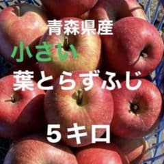 青森県産【小さい葉とらずふじ】訳ありご自宅用になりますのサムネイル