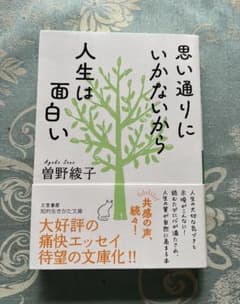 思い通りにいかないから人生は面白いのサムネイル
