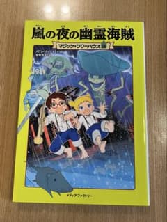 マジック・ツリーハウス 28 嵐の夜の幽霊海賊のサムネイル