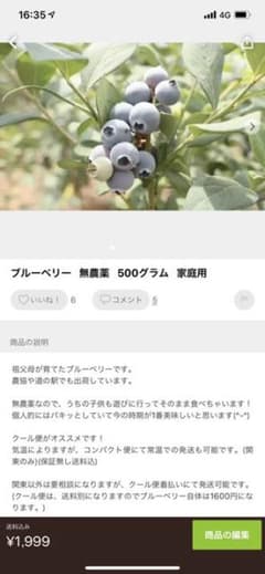ブルーベリー   ちび猫さん専用のサムネイル