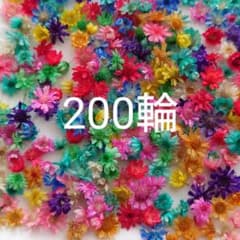 anemo様　専用のサムネイル
