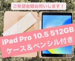 【お値下げ！】iPad Pro 10.5インチ 512GBのサムネイル