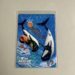 鳥羽水族館 コレクションカード vol2 イロワケイルカ レア - メルカリ