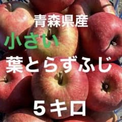 青森県産【小さい葉とらずふじ】訳ありご自宅用になりますのサムネイル