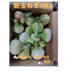 新鮮 玉ねぎ M～2Lサイズ 複数のサムネイル