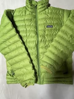【人気】patagonia Down Sweater Gecko Greenのサムネイル