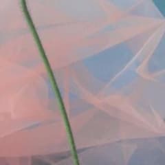 tadcue様専用のサムネイル