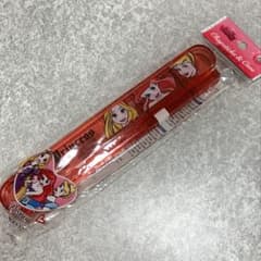 디즈니 프린세스 사다리 & 사다리 케이스