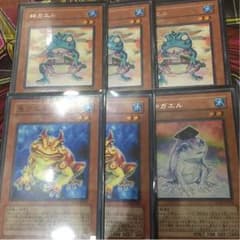 カエル6枚セットのサムネイル
