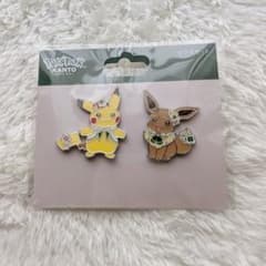 ポケパークカントー ピンズセット ピカチュウ イーブイ - メルカリ