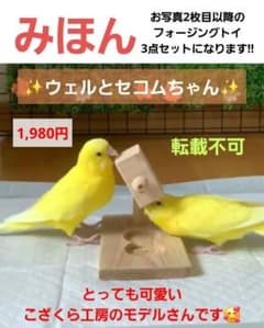 A8 くるくるフォージントイ3点イセット バードトイ 難易度高め - メルカリ
