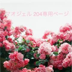 専用ページのサムネイル