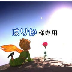 【はりか様専用】のサムネイル