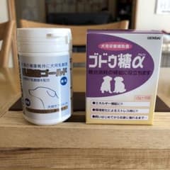 乳酸菌ゴールド&ブドウ糖アルファ13包のサムネイル