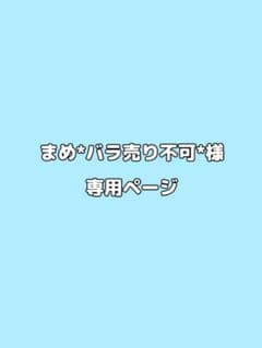 まめ*バラ売り不可*様専用ページのサムネイル