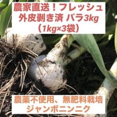 長野県産 ジャンボにんにく 大玉バラ３ｋｇ　農家より直送　 長野県産 ジャンボにんにく ジャンボニンニク 特大サイズ！ジャンボニンニクバラ1kg国産：愛知県産の 農薬不使用栽培🌱料理しやすい『ジャンボにんにく』3Kg岐阜県郡 ふるさと納税サイト「さと