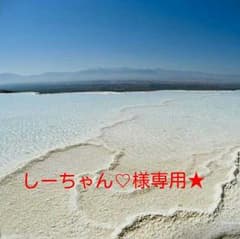専用★のサムネイル