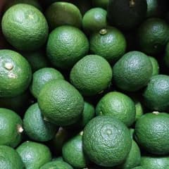 徳島県産 すだち 露地物 完全無農薬のサムネイル