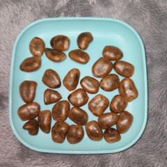 ポポーの種のサムネイル