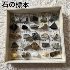 隕石　セット　標本　夏休み　自由研究 夏休み自由研究 鉱石の標本を作って鉱石博士になろう！工作 自由