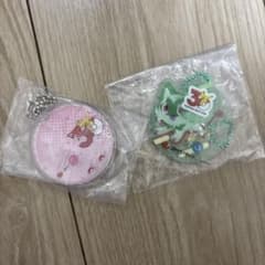 ポケモン 30周年記念 アクリルキーホルダー 2種セットのサムネイル