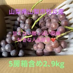 M*u様 新鮮 朝とれ酸っぱい巨峰 5房 山梨県牧丘産のサムネイル