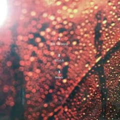 のださま専用 来週までのサムネイル
