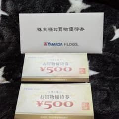 YAMADA HDGS. お買物優待券 500円 2枚のサムネイル