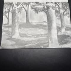鉛筆画 木炭画 風景画 森の風景 アート - メルカリ