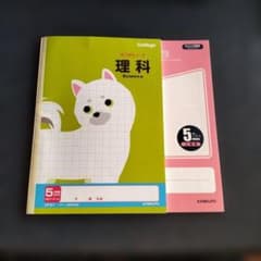 KYOKUTO 理科 ほうがんノート 5mm方眼 2冊セットのサムネイル