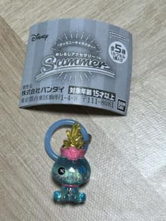 ディズニー　めじるしアクセサリー Summerのサムネイル