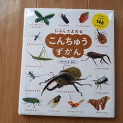 こんちゅうずかんのサムネイル