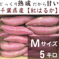 なつこ 紅はるか4ケース なつこ様 専用 紅はるか4ケース - メルカリ