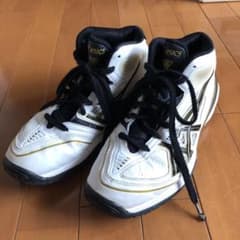 アシックス バスケットシューズ 24.5cmのサムネイル
